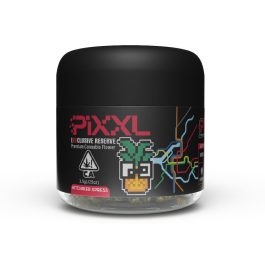 PiXXL Exclusive – Hitchhiker Express